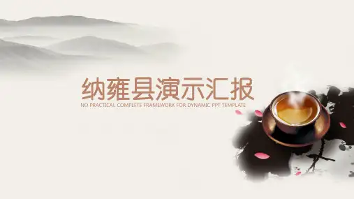纳雍县演示汇报