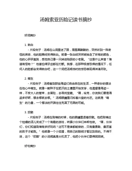 汤姆索亚历险记读书摘抄