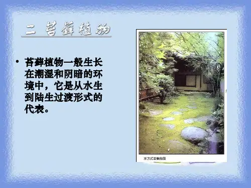生物八下22.2 《植物的主要类群》ppt之一
