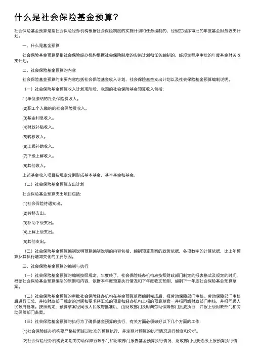 什么是社会保险基金预算？