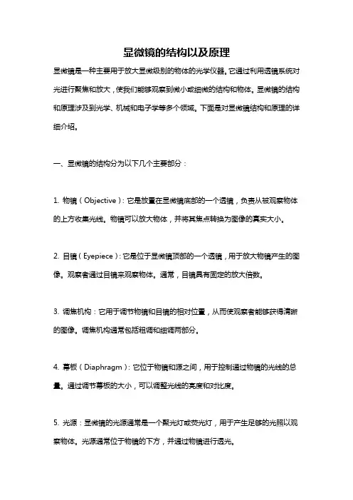 显微镜的结构以及原理