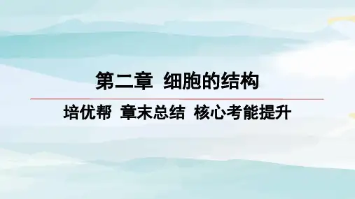 培优帮-章末总结-核心考能提升 (4)高中生物必修一浙科版