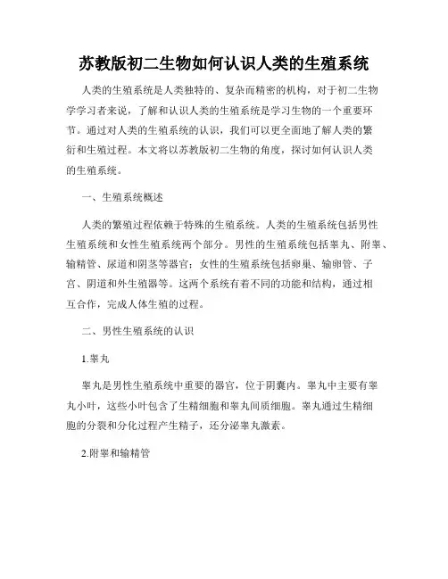 苏教版初二生物如何认识人类的生殖系统