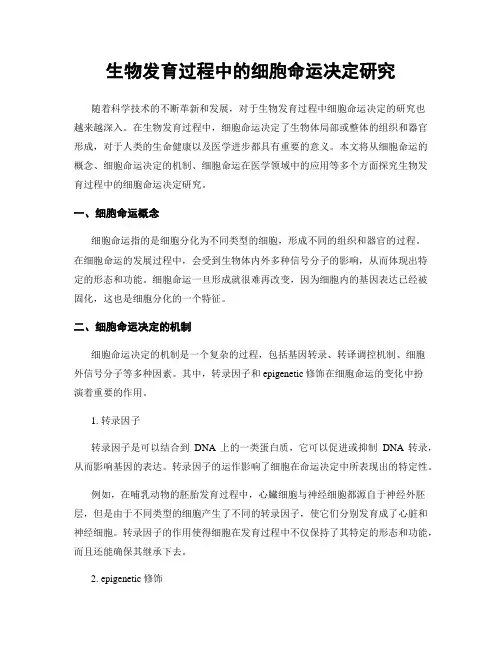 生物发育过程中的细胞命运决定研究