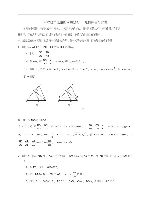 中考数学压轴题专题复习几何综合与探究