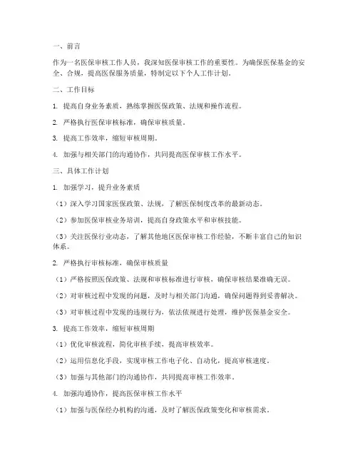 医保审核个人工作计划