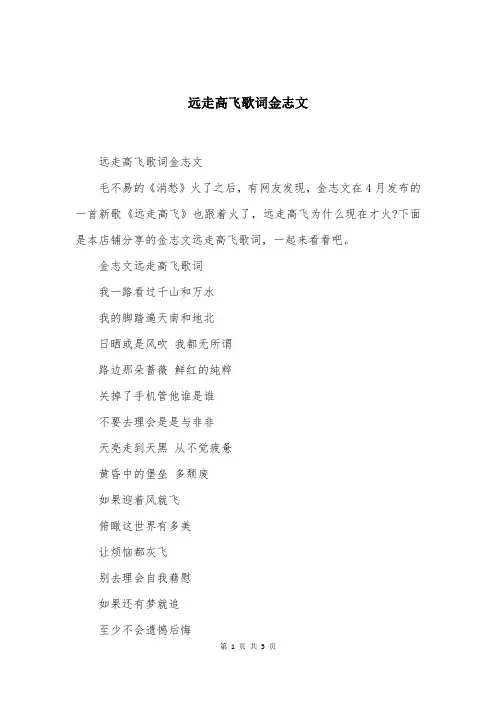 远走高飞歌词金志文