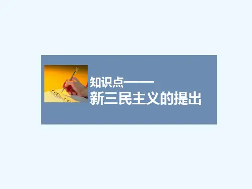 知识点4_新三民主义与中共民主革命纲领的联系和区别