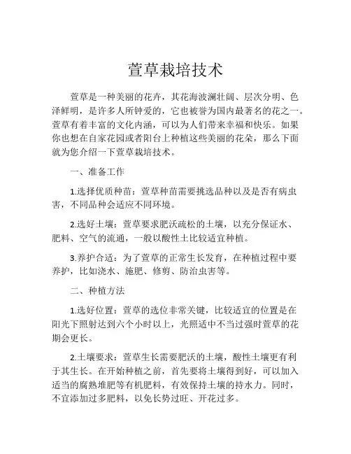 萱草栽培技术