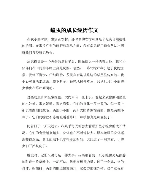 蝗虫的成长经历作文