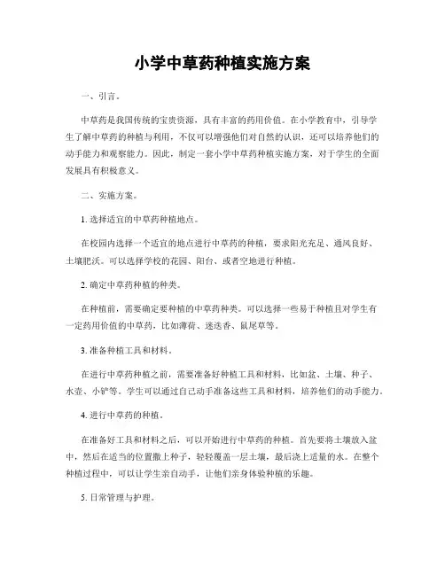 小学中草药种植实施方案