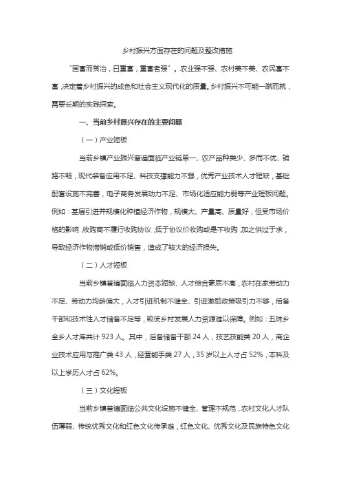 乡村振兴方面存在的问题及整改措施