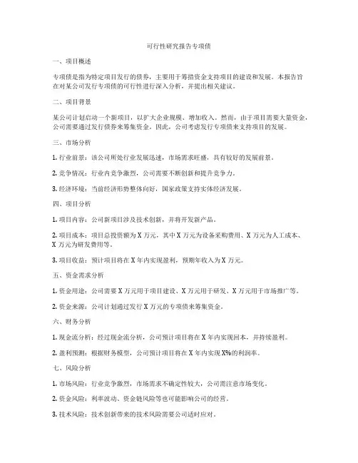 可行性研究报告专项债
