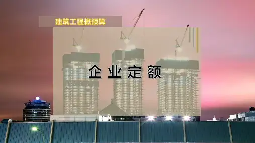 企 业 定 额