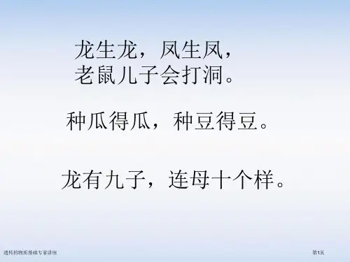 遗传的物质基础专家讲座