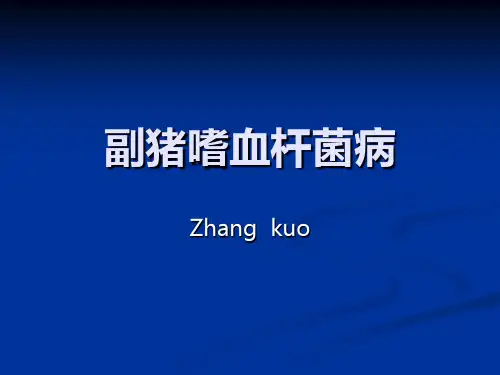 副猪嗜血杆菌0