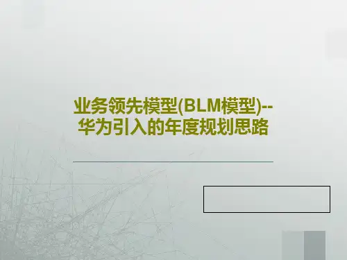 业务领先模型(BLM模型)--华为引入的年度规划思路PPT文档34页