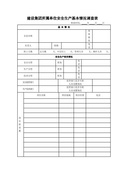 安全生产基本情况调研表