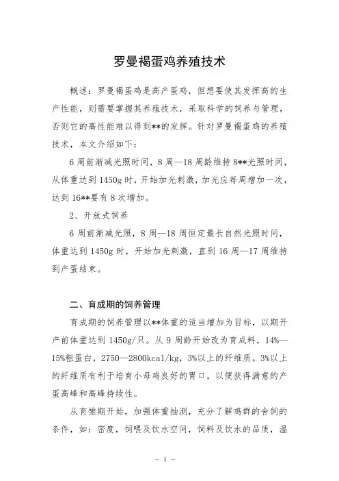 罗曼褐蛋鸡养殖技术