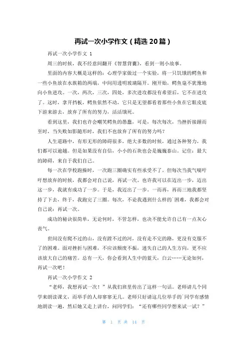 再试一次小学作文(精选20篇)