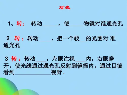 显微镜细胞观察(共37张PPT)