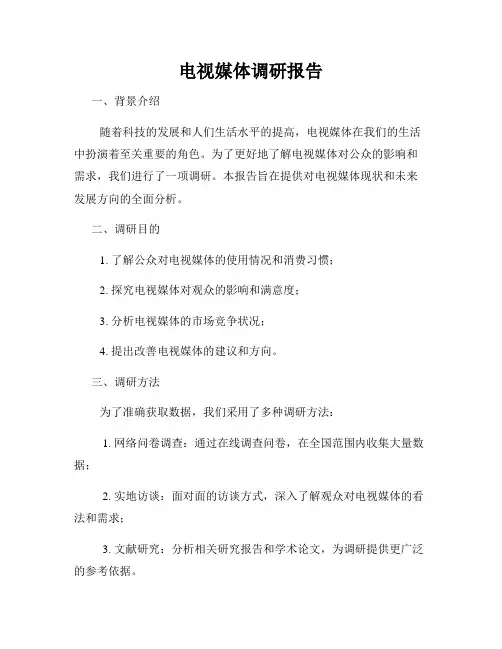 电视媒体调研报告