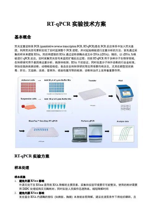 RT-qPCR实验技术方案 20230418
