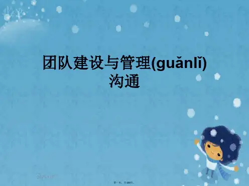 团队建设与管理沟通