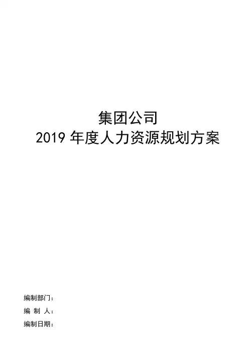 2019年人力资源工作规划(集团公司)