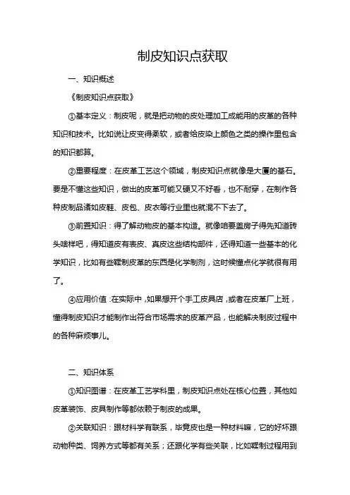 制皮知识点获取