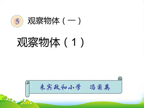 新人教版二年级数学上册：《观察物体(1)》 课件.ppt