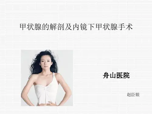 甲状腺的解剖及外科手术ppt