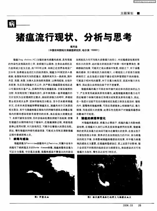 猪瘟流行现状、分析与思考