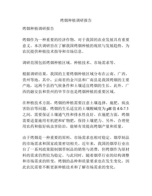 烤烟种植调研报告