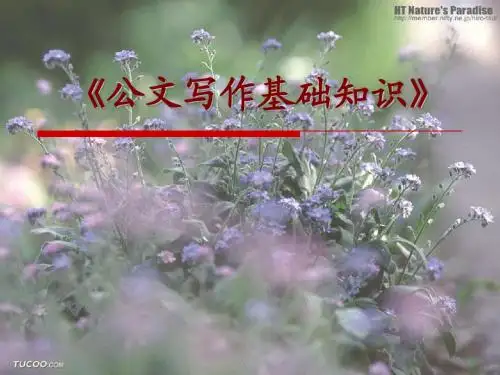 企业常用公文写作知识