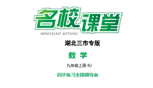 小专题7 二次函数的图象与字母系数之间的关系