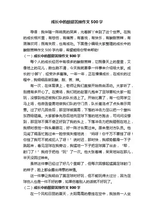 成长中的酸甜苦辣作文500字