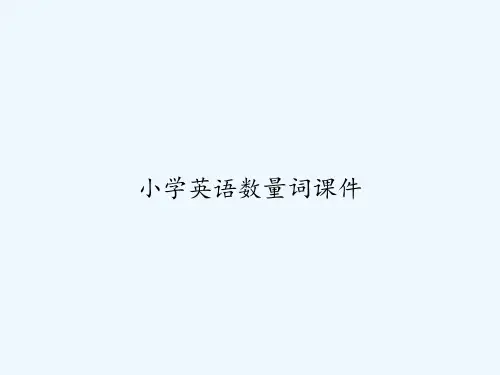 小学英语数量词课件 PPT