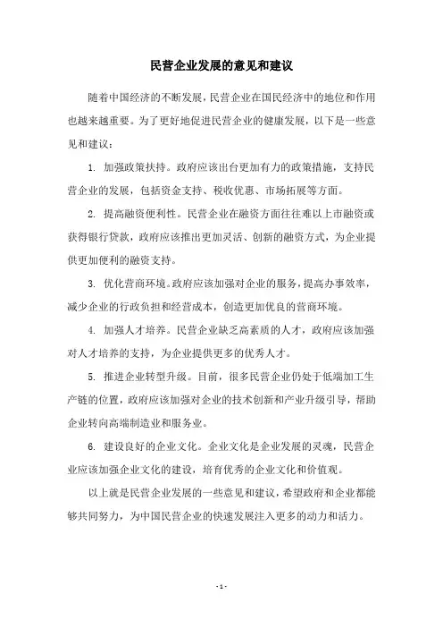 民营企业发展的意见和建议