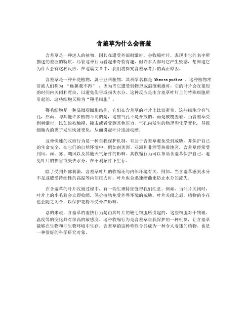 含羞草为什么会害羞