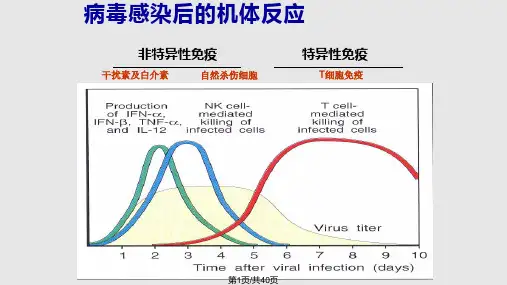 干扰素的作用PPT课件