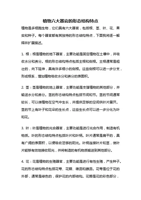 植物六大器官的形态结构特点