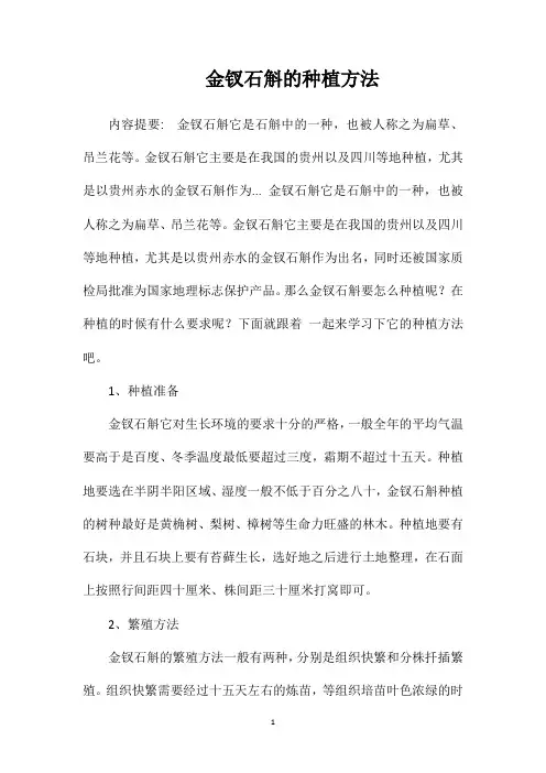 金钗石斛的种植方法