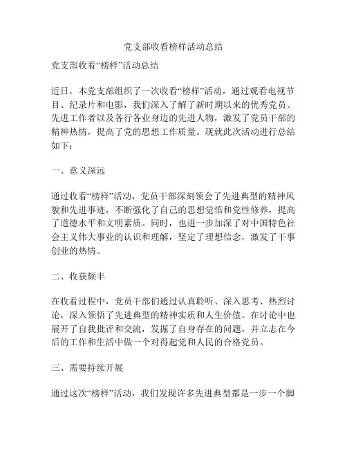 党支部收看榜样活动总结