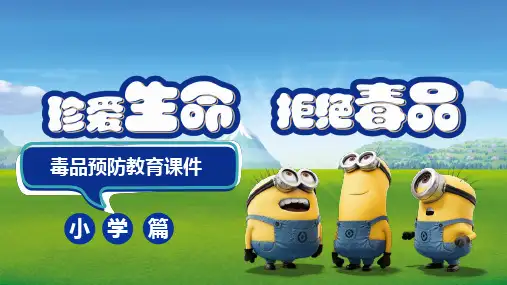 小学禁毒主题班会课件珍爱生命 拒绝毒品 课件 (共24张PPT)
