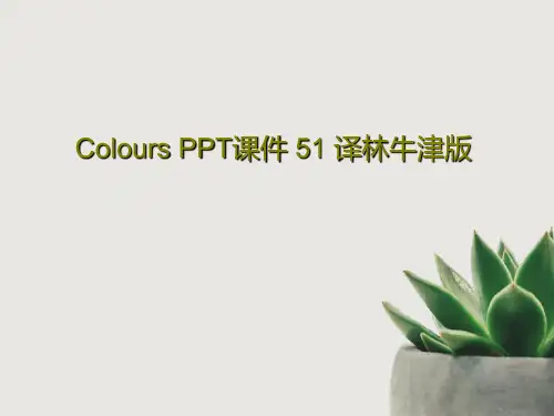 Colours PPT课件 51 译林牛津版30页文档