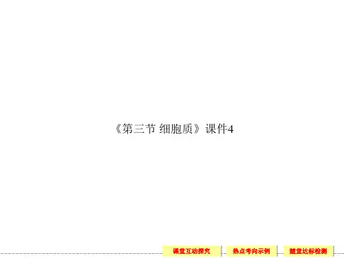 浙科版高中生物必修1课件 第三节 细胞质课件4