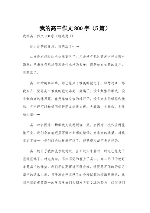 我的高三作文800字(5篇)