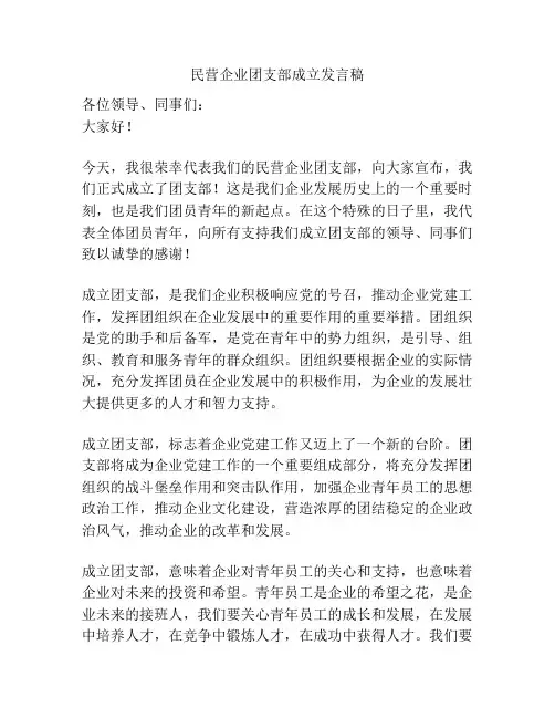 民营企业团支部成立发言稿