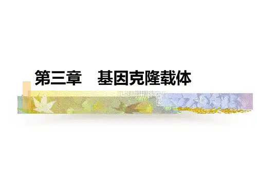 基因克隆载体